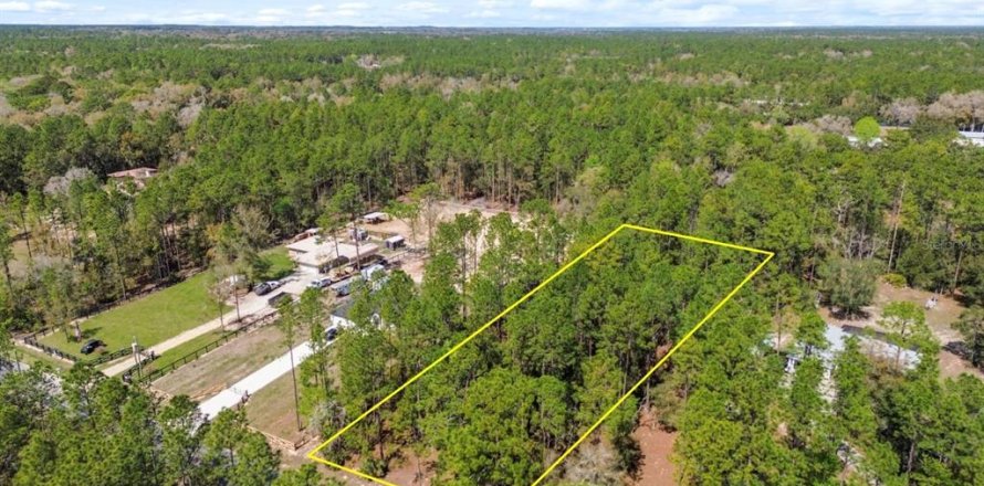 Terreno en Dunnellon, Florida № 1514405