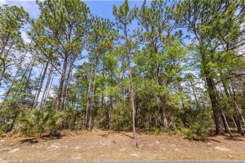 Terreno en venta en Dunnellon, Florida № 1514405 - foto 2