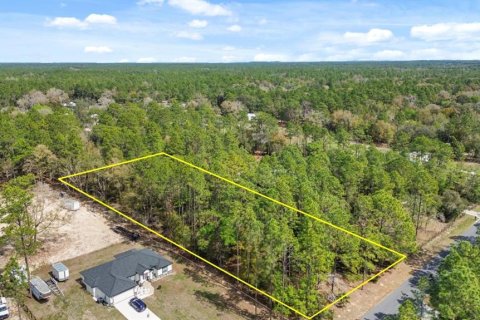 Terreno en venta en Dunnellon, Florida № 1514405 - foto 3