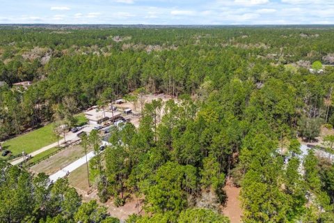 Terreno en venta en Dunnellon, Florida № 1514405 - foto 6