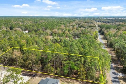 Terreno en venta en Dunnellon, Florida № 1514405 - foto 4