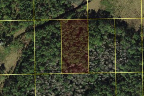 Land in Polk City, Florida № 2204369 - photo 3