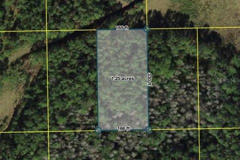 Land in Polk City, Florida № 2204369 - photo 2
