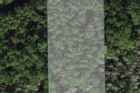 Terrain à Polk City, Floride № 2204369