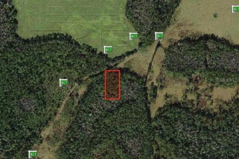 Land in Polk City, Florida № 2204369 - photo 5
