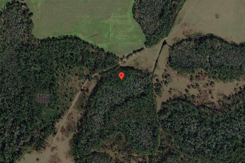 Land in Polk City, Florida № 2204369 - photo 7