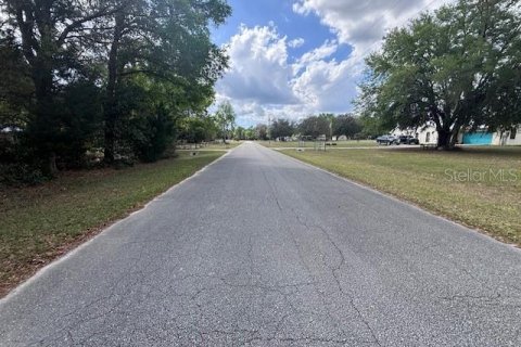 Land in Chiefland, Florida № 2239797 - photo 6