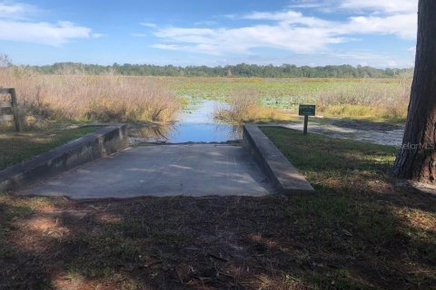 Land in Chiefland, Florida № 2239797 - photo 4