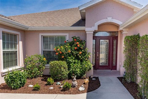 House in Ocala, Florida 3 bedrooms, 222.32 sq.m. № 1750480 - photo 3