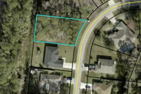 Terreno en venta en Palm Coast, Florida № 1845338 - foto 4