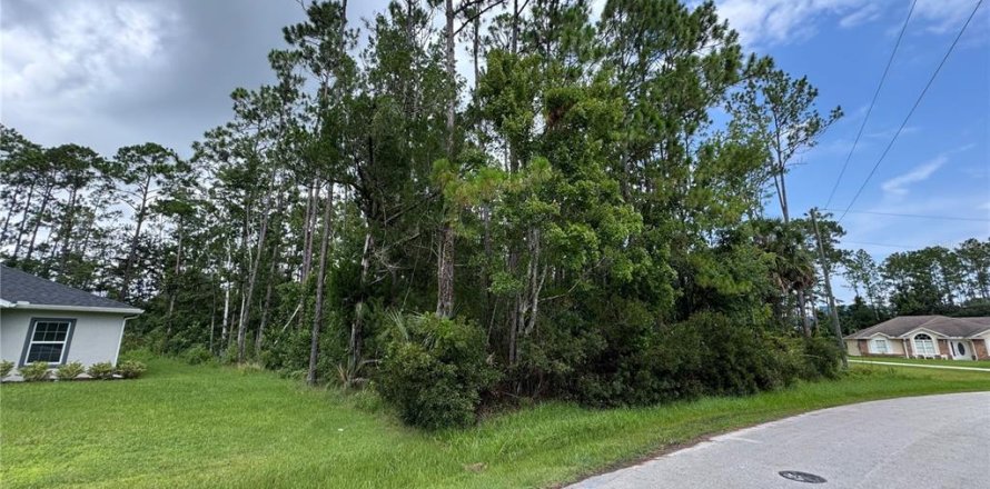 Terreno en Palm Coast, Florida № 1845338