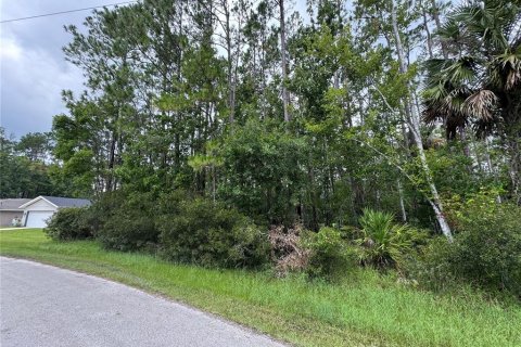 Terreno en venta en Palm Coast, Florida № 1845338 - foto 3