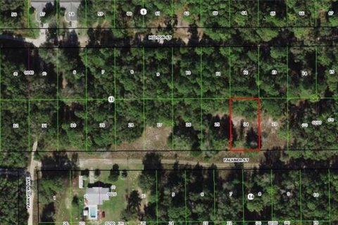 Land in Inverness, Florida № 2160381
