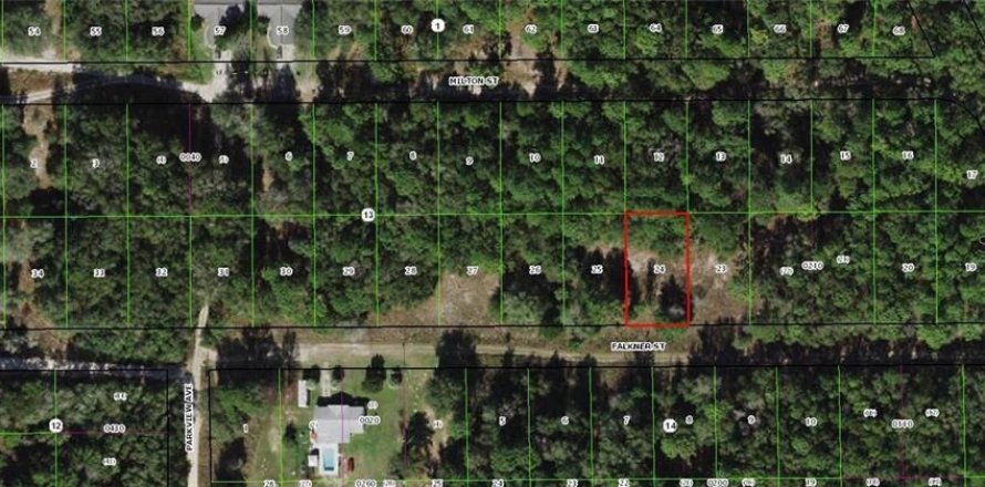 Land in Inverness, Florida № 2160381