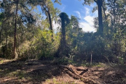 Terrain à Reddick, Floride № 2104008
