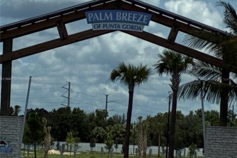 Land in Punta Gorda, Florida № 1830208 - photo 3