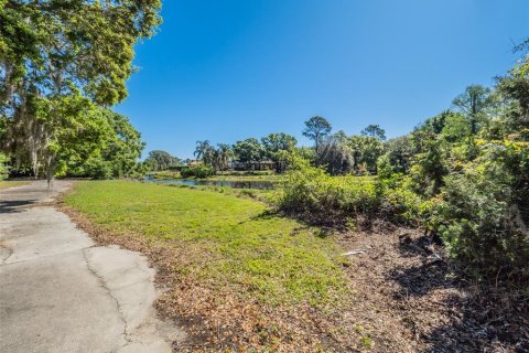 Land in Windermere, Florida № 1591913 - photo 26