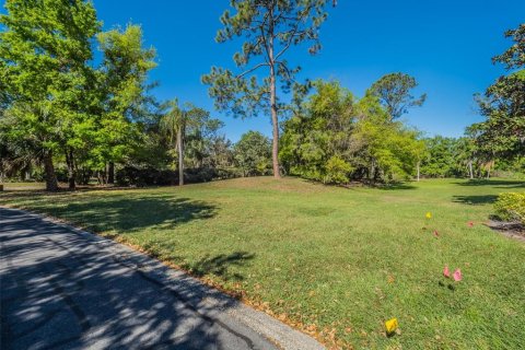 Land in Windermere, Florida № 1591913 - photo 21