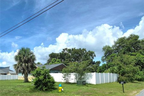 House in Tampa, Florida 5 bedrooms, 191.47 sq.m. № 2156046 - photo 15