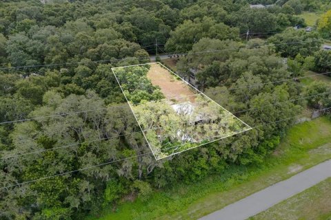 Terreno en venta en Auburndale, Florida № 1810381 - foto 2