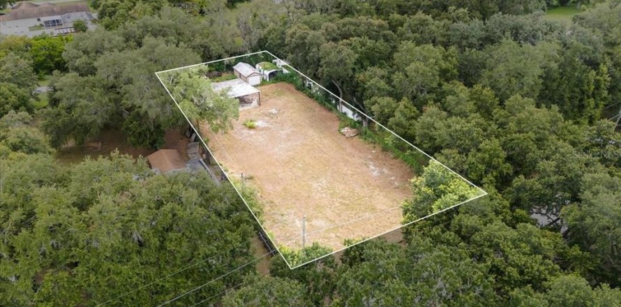 Terreno en Auburndale, Florida № 1810381