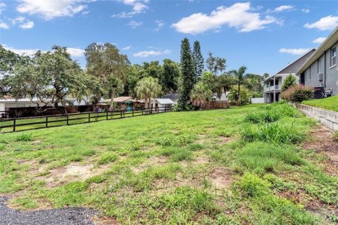 Land in Tarpon Springs, Florida № 1572903 - photo 3