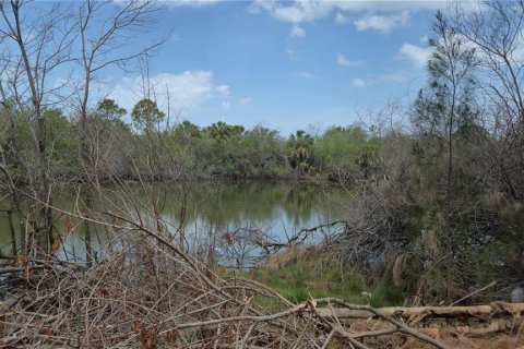 Terrain à vendre à Hudson, Floride № 1908559 - photo 13