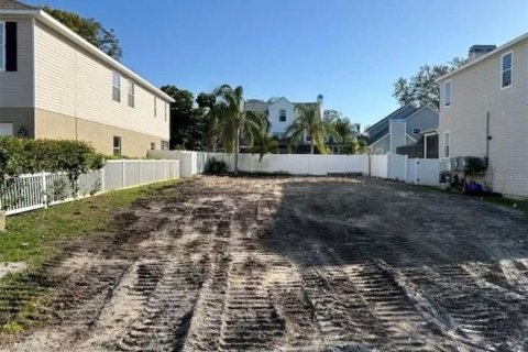 Land in Palm Harbor, Florida № 1654929 - photo 1