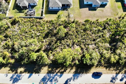 Land in Port Charlotte, Florida № 2161681 - photo 2