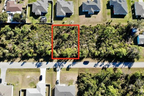 Land in Port Charlotte, Florida № 2161681 - photo 3