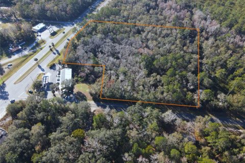 Land in Micanopy, Florida № 1554833 - photo 2