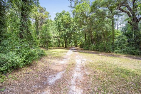 Land in Ocala, Florida № 1167552 - photo 11