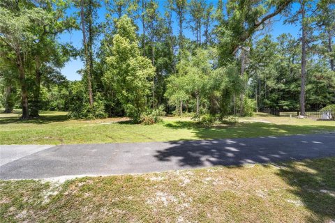 Land in Ocala, Florida № 1167552 - photo 3