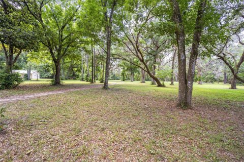 Land in Ocala, Florida № 1167552 - photo 19