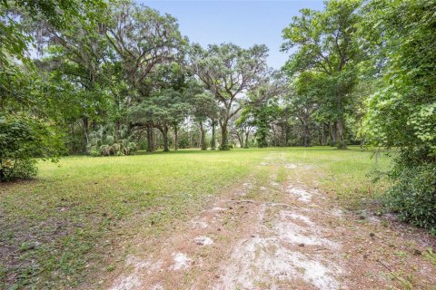 Land in Ocala, Florida № 1167552 - photo 13