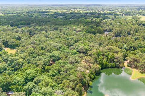 Land in Ocala, Florida № 1167552 - photo 21