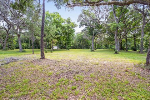 Land in Ocala, Florida № 1167552 - photo 15