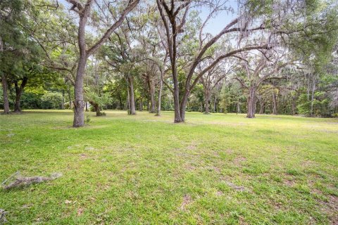 Land in Ocala, Florida № 1167552 - photo 18