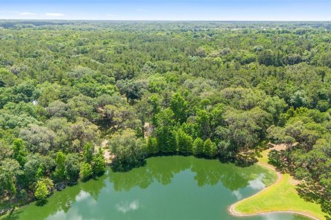 Land in Ocala, Florida № 1167552 - photo 27