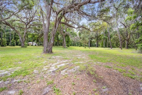 Land in Ocala, Florida № 1167552 - photo 17