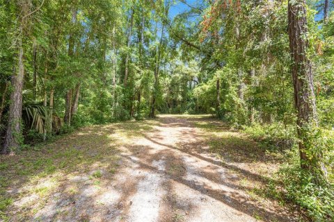 Land in Ocala, Florida № 1167552 - photo 10