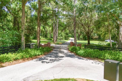 Land in Ocala, Florida № 1167552 - photo 1