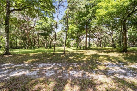 Land in Ocala, Florida № 1167552 - photo 9
