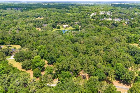 Land in Ocala, Florida № 1167552 - photo 22
