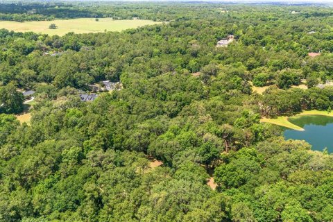 Land in Ocala, Florida № 1167552 - photo 26