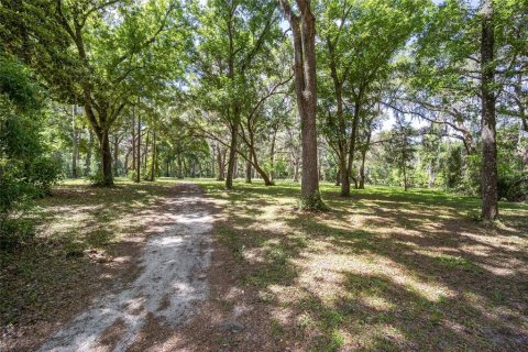 Land in Ocala, Florida № 1167552 - photo 4