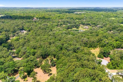 Land in Ocala, Florida № 1167552 - photo 20