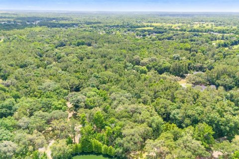 Land in Ocala, Florida № 1167552 - photo 23