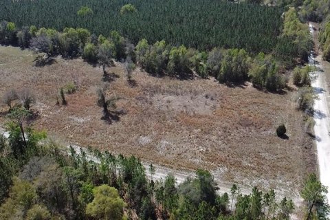 Terrain à vendre à Fort White, Floride № 2213783 - photo 19