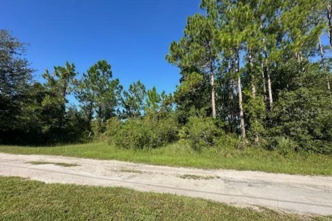 Land in Paisley, Florida № 2360429